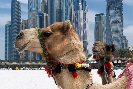 Antalya Hareketli Dubai Turları